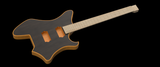 3D Guitar Model Stellar .dxf file